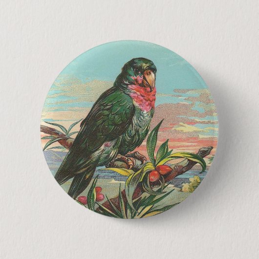 Parrot Ronde Button 5,7 Cm (Voorkant)