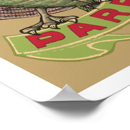 Parrot Safety Matches Poster (Hoek)