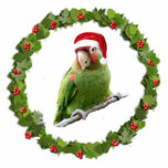 Parrot Santa Fotobeeldje Ornament<br><div class="desc">Deze kerstversiering is voorzien van een kerrieksnoerpapegaai in een kerstkleed die in een kerstmis zit.</div>