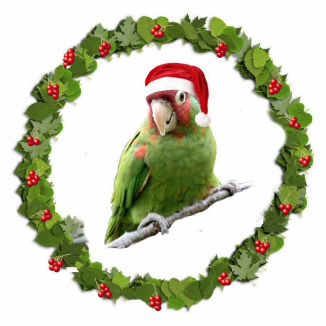 Parrot Santa Fotobeeldje Ornament (Voorkant)