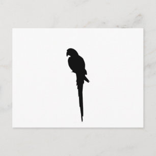 Parrot silhouette briefkaart