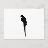 Parrot silhouette briefkaart (Voorkant)