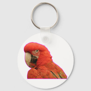 Parrot Sleutelhanger