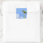 ~Parrot~ STICKER, ADVERTISE, AANGEPAST Vierkante Sticker (Tas)