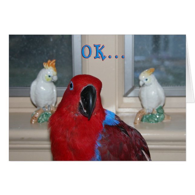 Parrot ThMED (Voorkant Horizontaal)