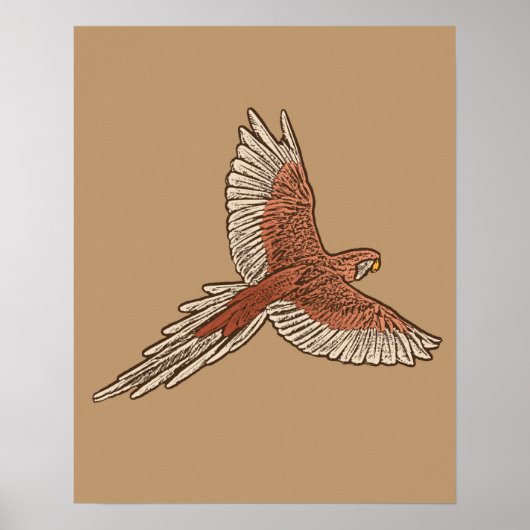 Parrot tijdens de vlucht, de rust, de crème en de  poster (Voorkant)