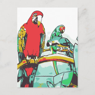 Parrot Trio Briefkaart