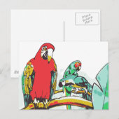 Parrot Trio Briefkaart (Voorkant / Achterkant)