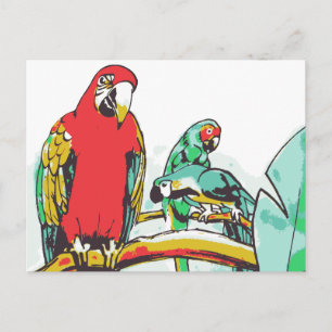 Parrot Trio Briefkaart