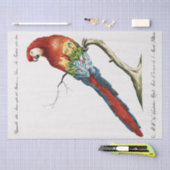 Parrot Tropische Bird Decoupage Decoupaging Tissuepapier (Craft)