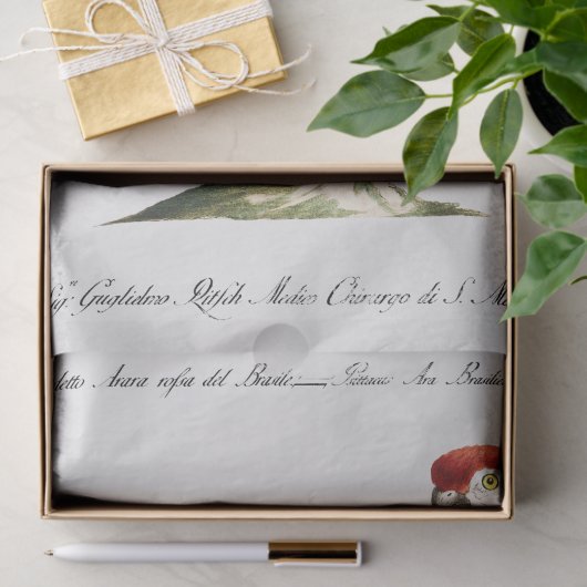 Parrot Tropische Bird Decoupage Decoupaging Tissuepapier (Geschenk)