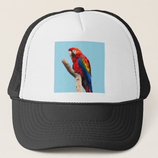 Parrot Trucker Pet (Voorkant)