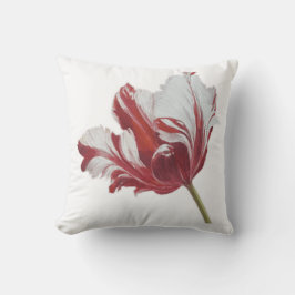 Parrot Tulip 10x  Buitenkussen