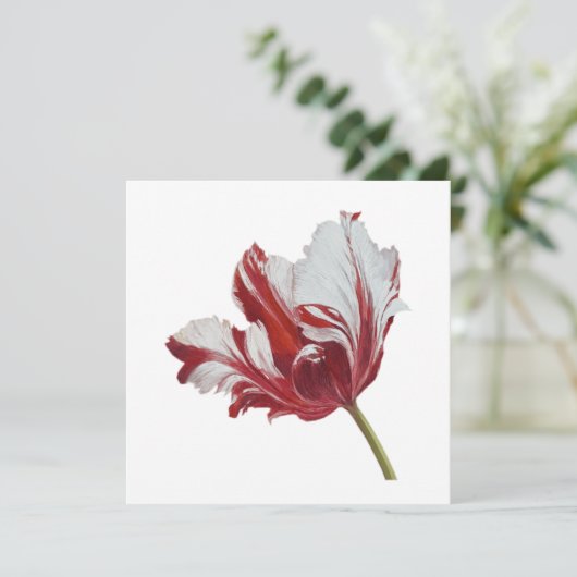 Parrot Tulip 10x  Kaart (Staand voorkant)