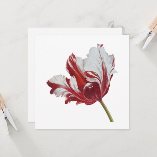 Parrot Tulip 10x Kaart (Voorkant / Achterkant in situ)