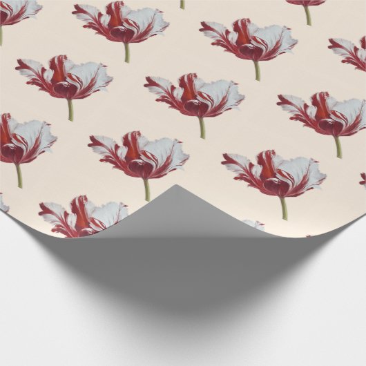Parrot Tulip  Cadeaupapier (Hoek)