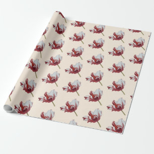 Parrot Tulip  Cadeaupapier