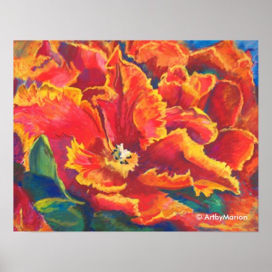 Parrot Tulip Dance Poster (Voorkant)