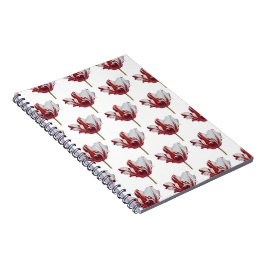 Parrot Tulip Fine Art Print Notitieboek (Rechterzijde)