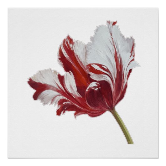 Parrot Tulip Fine Art Print Perfect Poster (Voorkant)