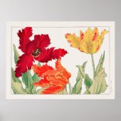 Parrot tulip, Floral Poster (Voorkant)