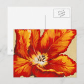 Parrot Tulip I Briefkaart (Voorkant / Achterkant)