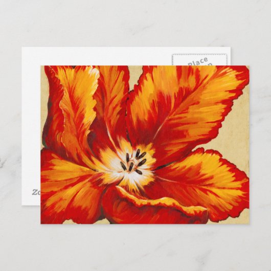 Parrot Tulip I Briefkaart (Voorkant / Achterkant)