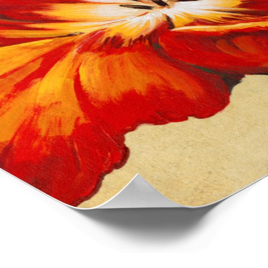 Parrot Tulip I Poster (Hoek)