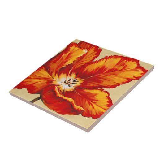 Parrot Tulip I Tegeltje (Zijkant)