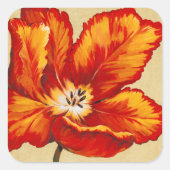 Parrot Tulip I Vierkante Sticker (Voorkant)