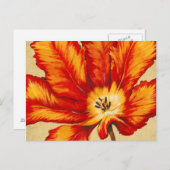 Parrot Tulip II Briefkaart (Voorkant / Achterkant)