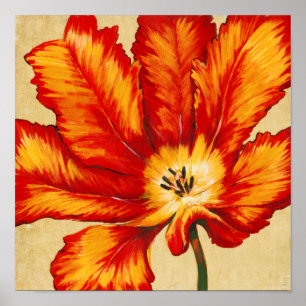 Parrot Tulip II Poster