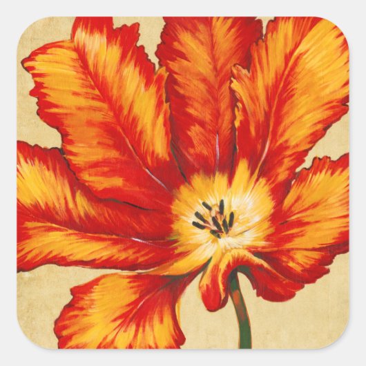 Parrot Tulip II Vierkante Sticker (Voorkant)
