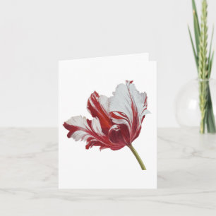 Parrot Tulip Kaart