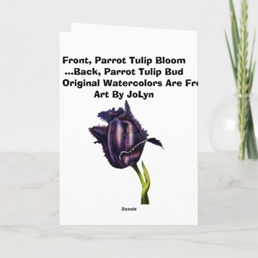 Parrot Tulip Kaart (Achterkant)