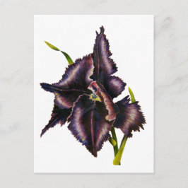 Parrot Tulip Post Card Briefkaart