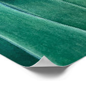 Parrot Tulip Poster (Hoek)