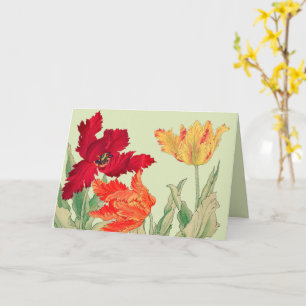 Parrot Tulp, Floral Birthday Kaart