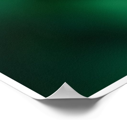 Parrot van Johannes Stötter Poster (Hoek)