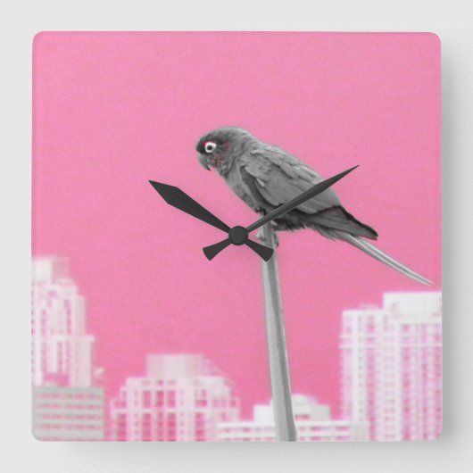 ~Parrot~ WALL CLOCK, PINK, AANPASSEN HET! Vierkante Klok (Voorkant)