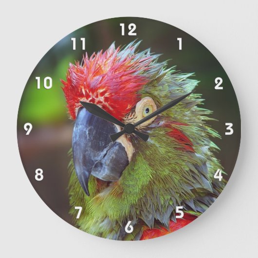 Parrot Wall klokken (Voorkant)
