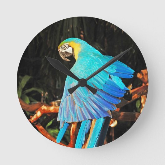 Parrot-wandklok Ronde Klok (Voorkant)