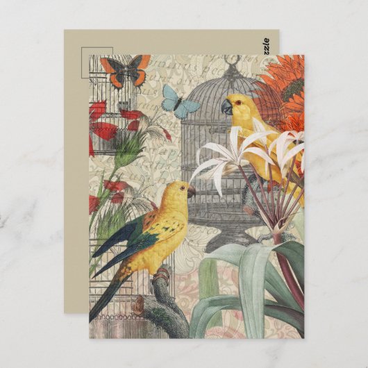 Parrot Yellow Tropical Antiek Flower Briefkaart (Voorkant / Achterkant)