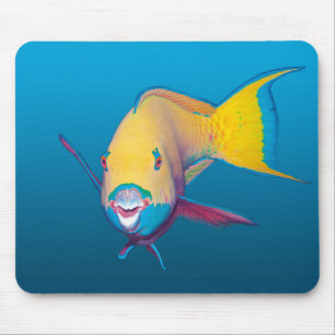 Parrotfish Close-up! Verloopblauwe achtergrond Muismat