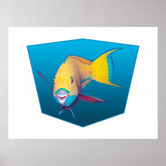 Parrotfish - Ontwerp gradiënt blauwe achtergrond | Poster (Voorkant)