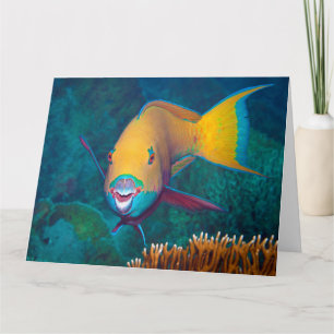Parrotfish - Opvallende make-up! Kleurrijke foto Kaart