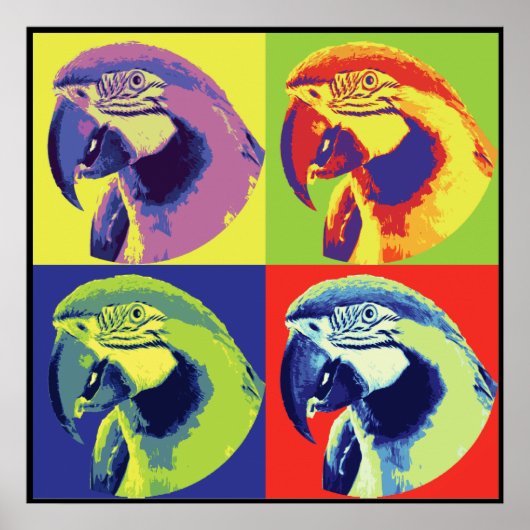 Parrotheads Poster (Voorkant)