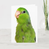 Parrotlet Bird Missing You wenskaart Kaart (Voorkant)