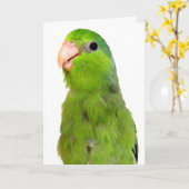 Parrotlet Bird Missing You wenskaart Kaart (Gele Bloem)
