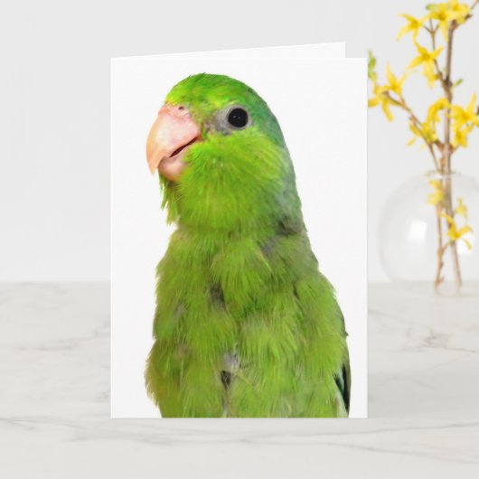 Parrotlet Bird Missing You wenskaart Kaart (Gele Bloem)